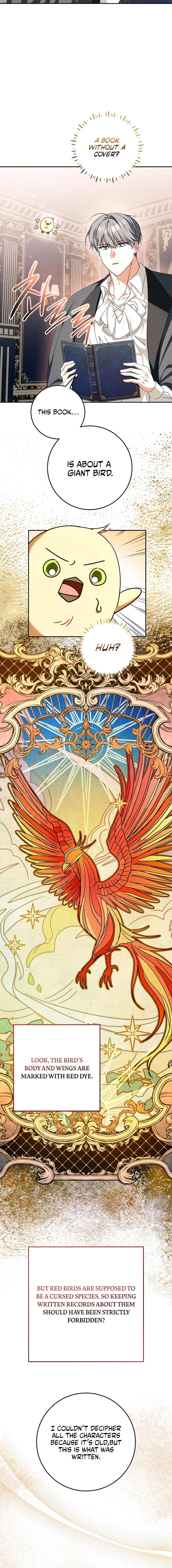 Little Red Baby Bird Chapter 62 page 6 - 