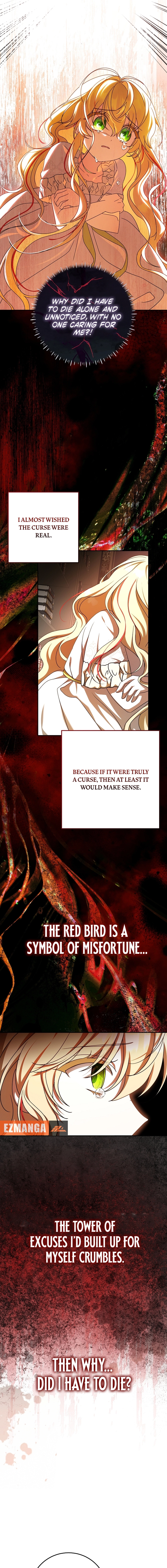 Little Red Baby Bird Chapter 62 page 9 - 