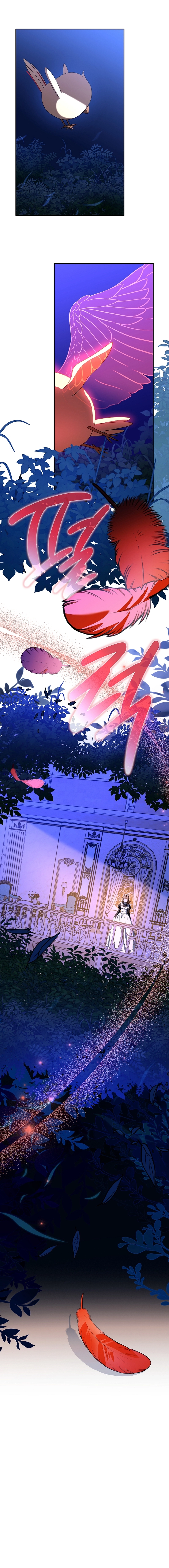 Little Red Baby Bird Chapter 65 page 11 - 