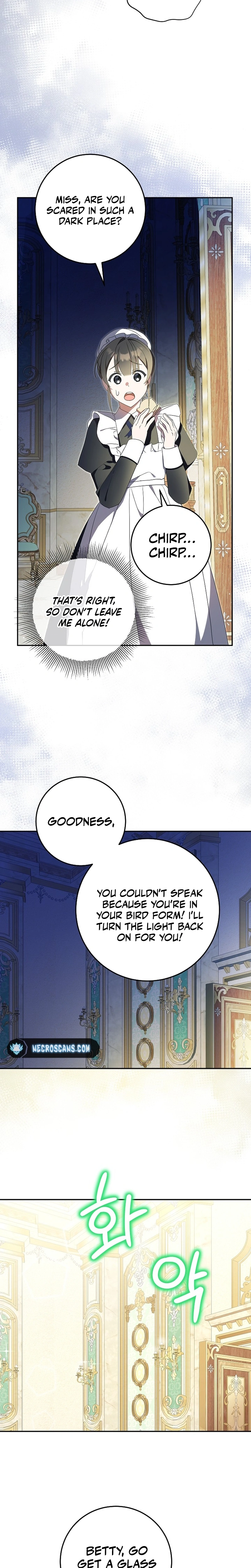Little Red Baby Bird Chapter 7 page 19 - 