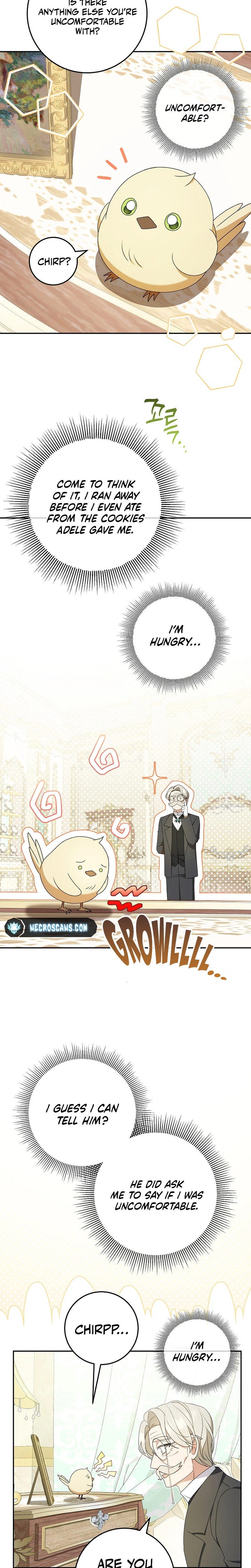 Little Red Baby Bird Chapter 7 page 5 - 