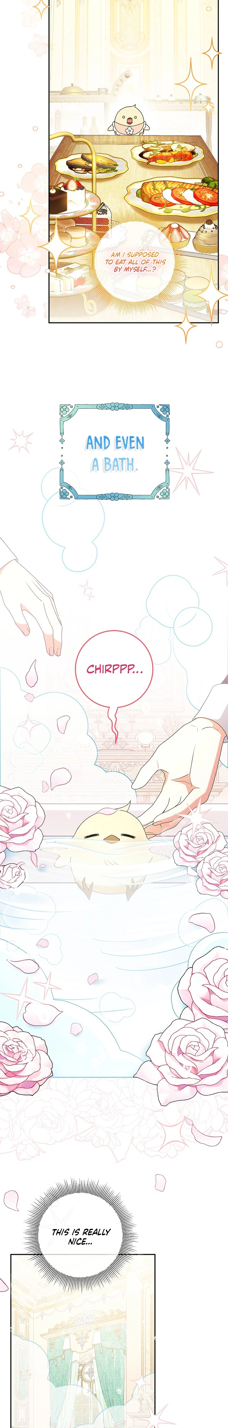 Little Red Baby Bird Chapter 7 page 7 - 