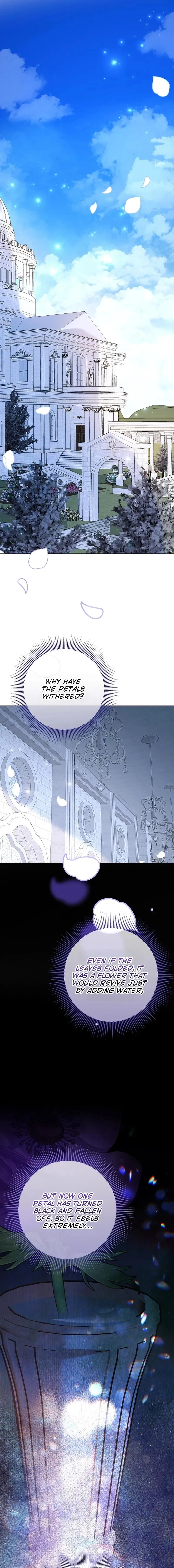 Little Red Baby Bird Chapter 71 page 13 - 