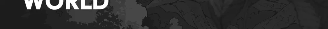Loner Life in Another World Chapter 12.5 page 14 - 