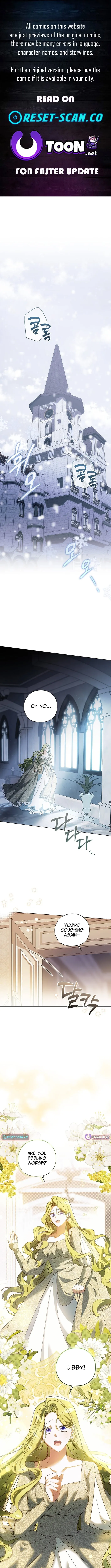 Looking For The Villainess’s Contract Husband Chapter 1 page 1 - 