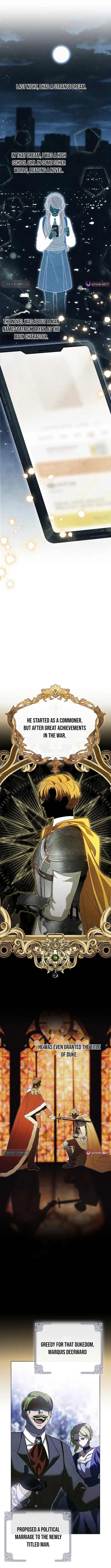 Looking For The Villainess’s Contract Husband Chapter 1 page 4 - 