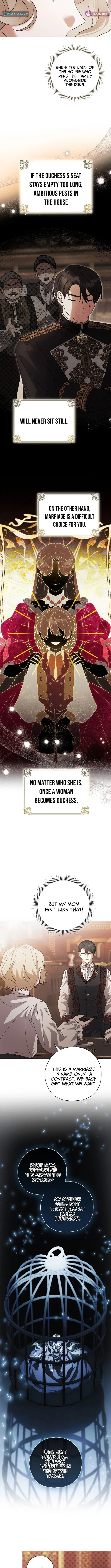 Looking For The Villainess’s Contract Husband Chapter 10 page 5 - 