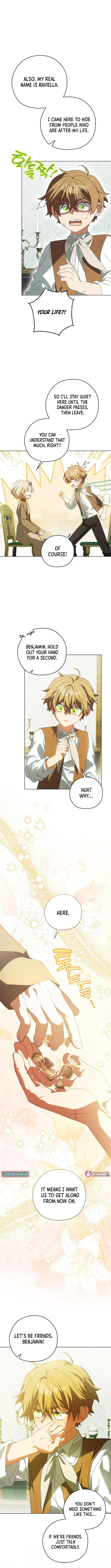Looking For The Villainess’s Contract Husband Chapter 17 page 12 - 