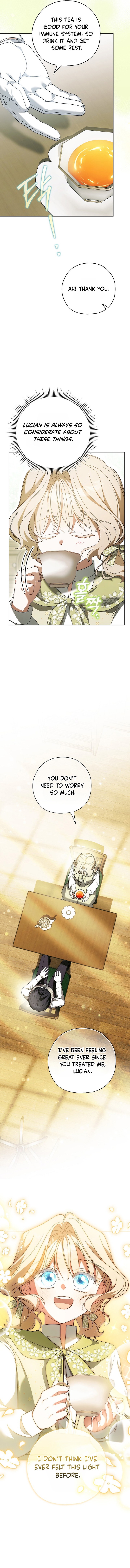 Looking For The Villainess’s Contract Husband Chapter 22 page 11 - 