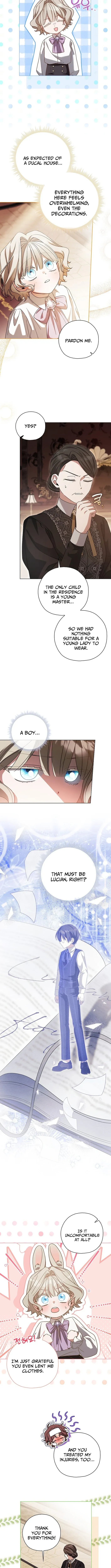 Looking For The Villainess’s Contract Husband Chapter 9 page 5 - 