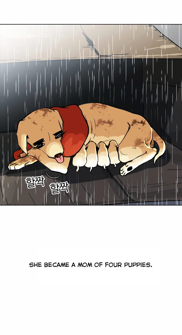 Lookism  Manhwa Chapter 61 page 10 - 