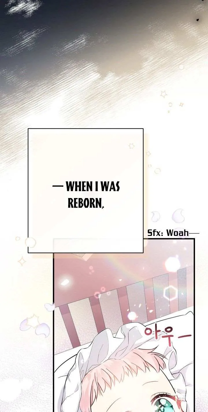 Lord Baby Runs A Romance Fantasy With Cash Chapter 2 page 17 - 