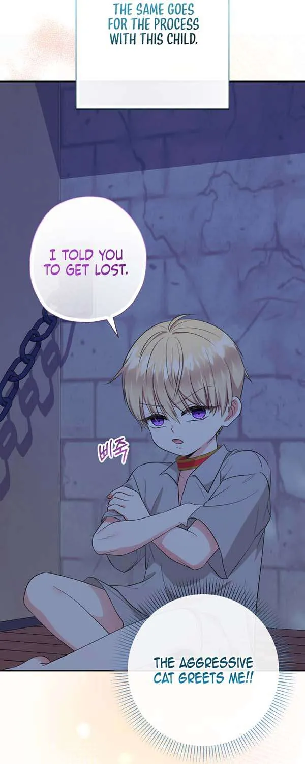 Lord Baby Runs A Romance Fantasy With Cash Chapter 62 page 14 - 