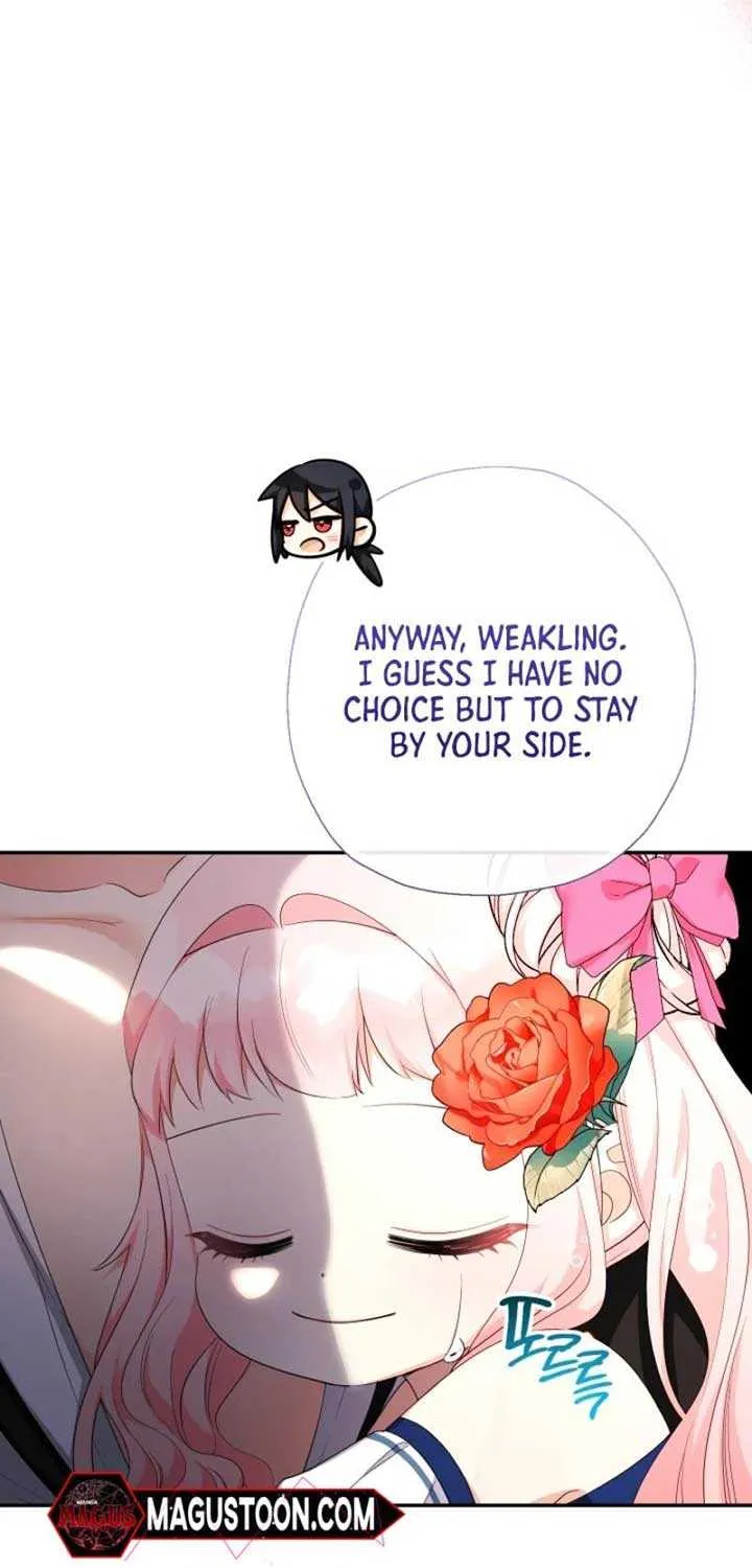 Lord Baby Runs A Romance Fantasy With Cash Chapter 80 page 78 - 
