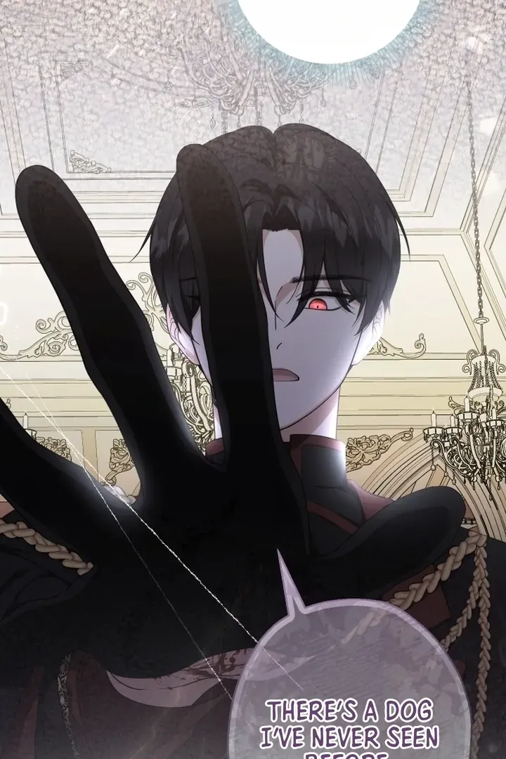 Lord Baby Runs A Romance Fantasy With Cash Chapter 87 page 84 - 