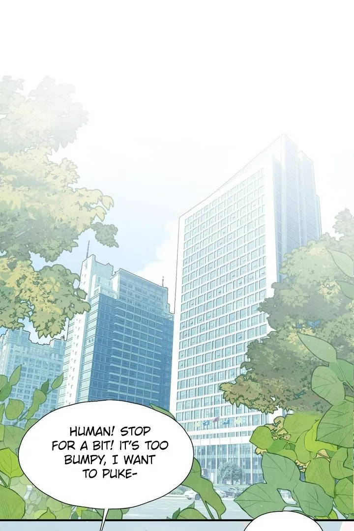 Lord Demon King Always Teases Me Chapter 45 page 46 - 