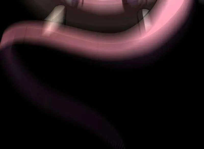 Lord of Summoning When the World Changes Chapter 20 page 47 - 