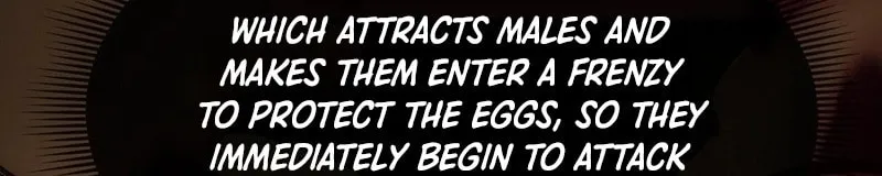 Lord of Summons! Sudden Mutation Chapter 22 page 35 - 