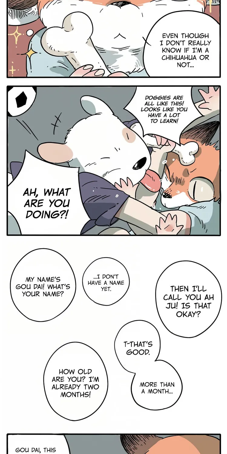 Loser Fox (Colored) Chapter 1 page 8 - 
