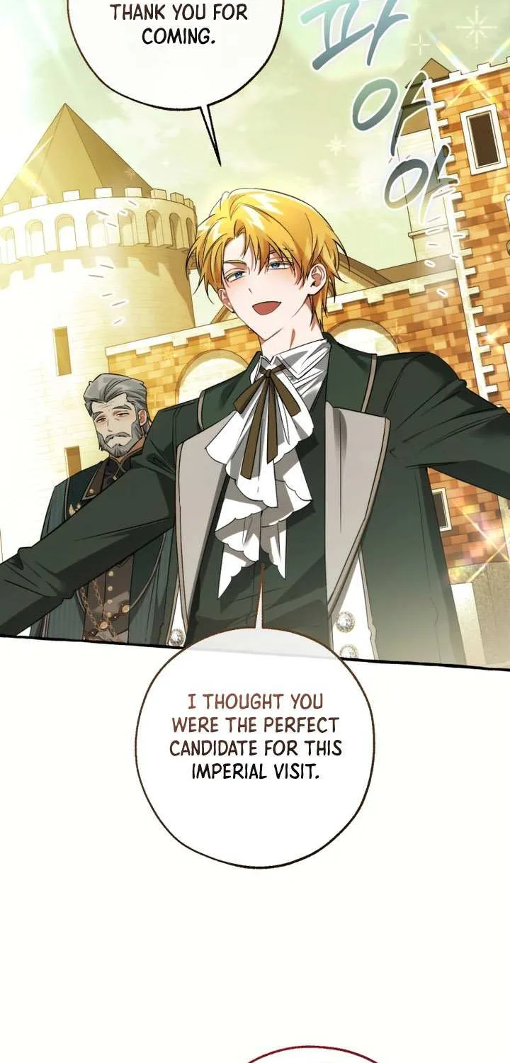 Lout Of Count