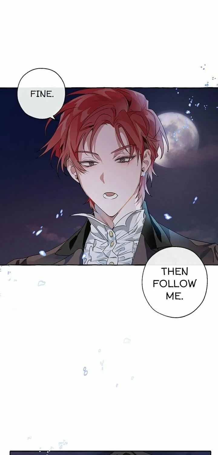 Lout of Count’s Family Chapter 4 page 42 - 