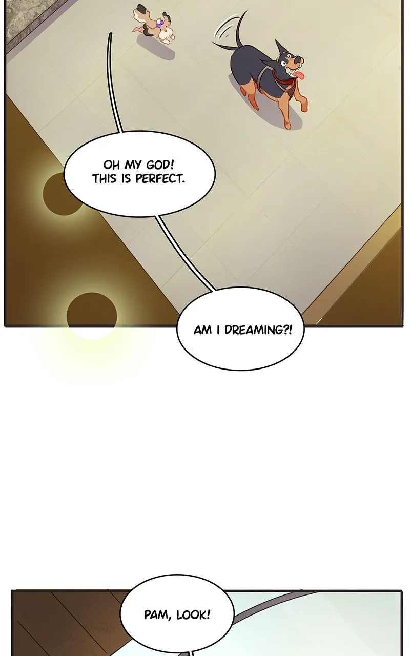 Love 4 a Walk Chapter 72 page 49 - 