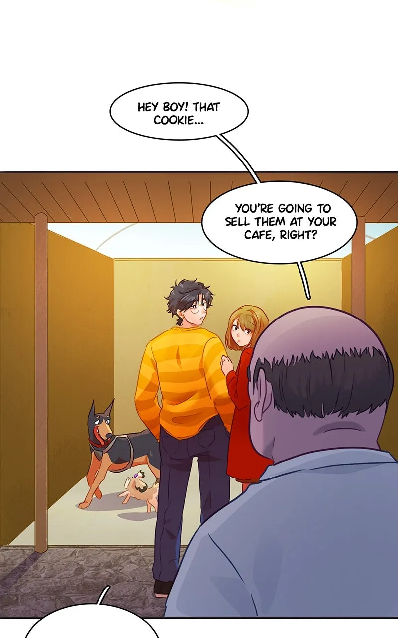 Love 4 a Walk Chapter 72 page 53 - 