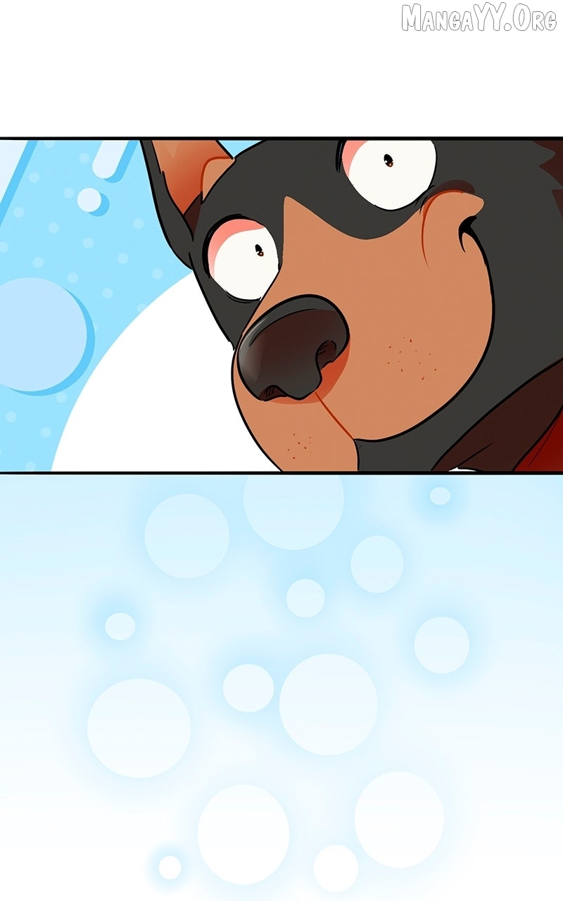 Love 4 a Walk Chapter 78 page 51 - 