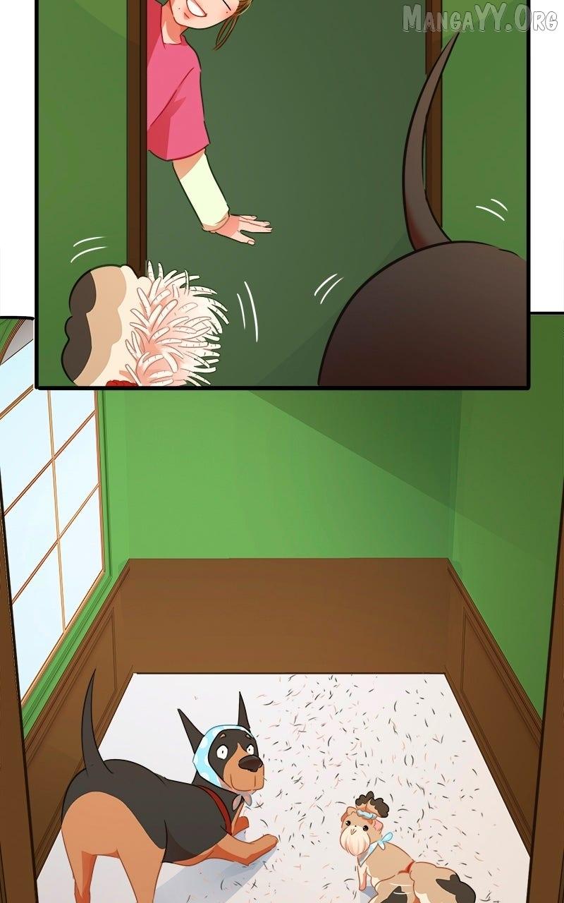 Love 4 a Walk Chapter 83 page 36 - 