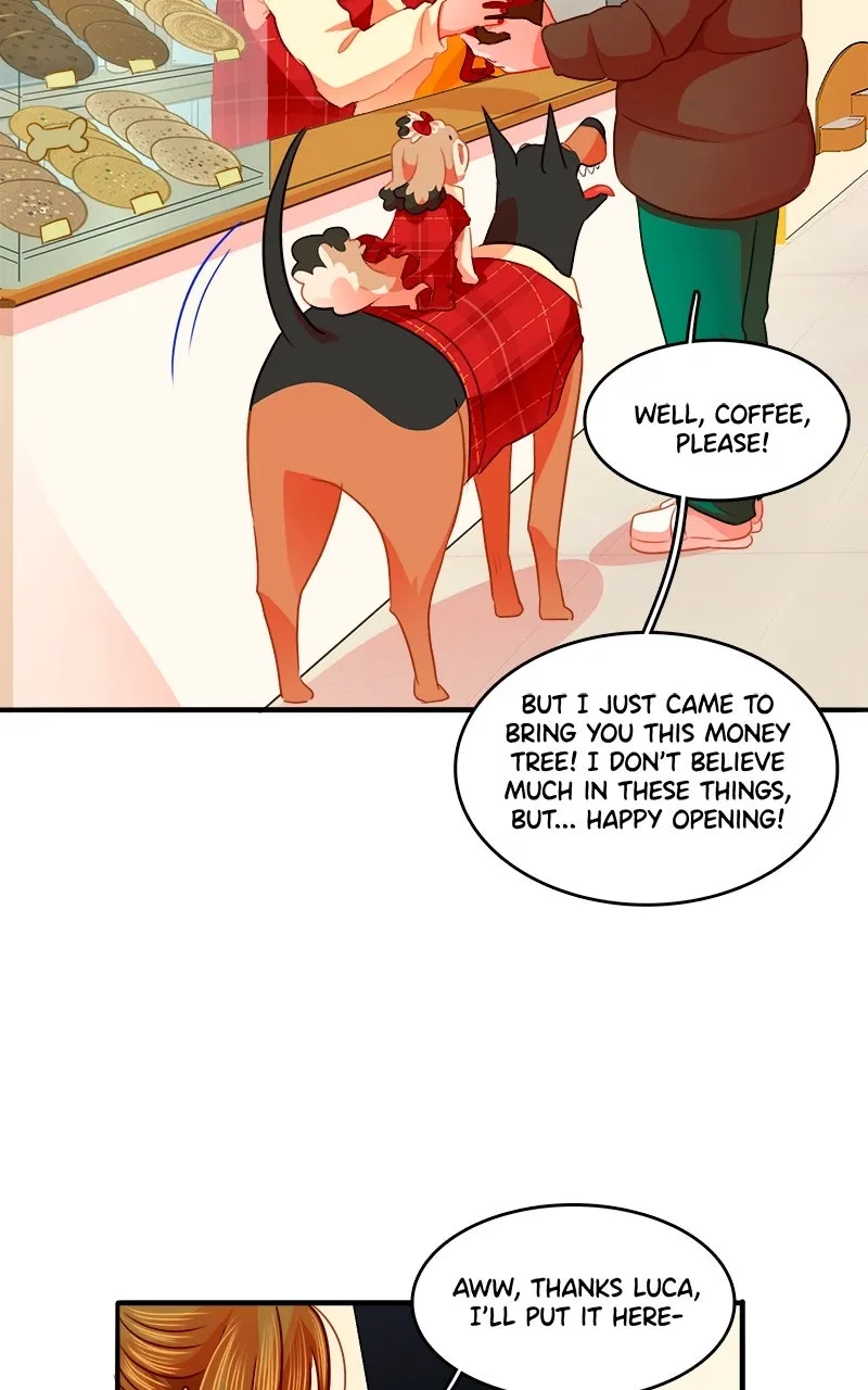 Love 4 a Walk Chapter 96 page 12 - 