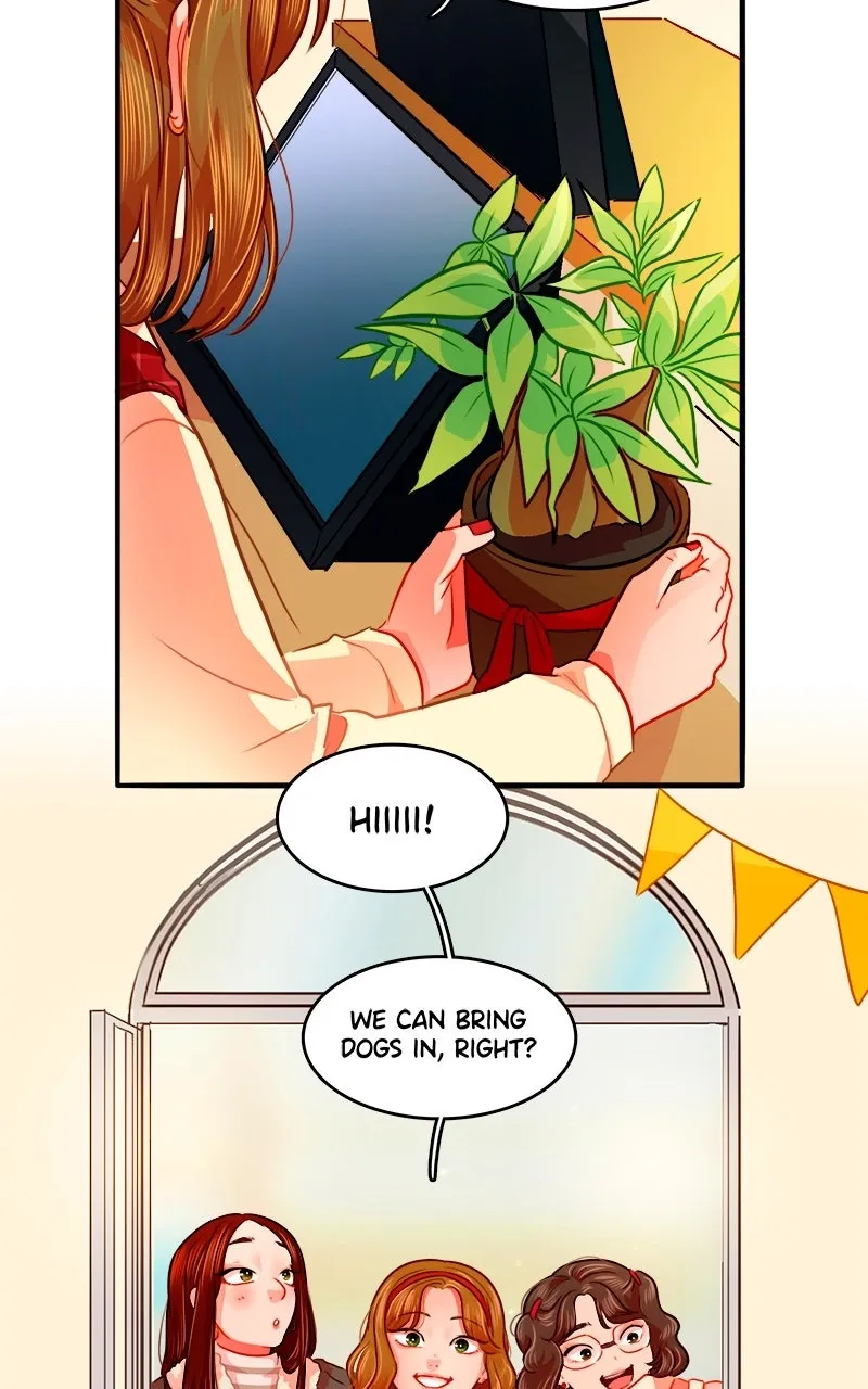 Love 4 a Walk Chapter 96 page 13 - 