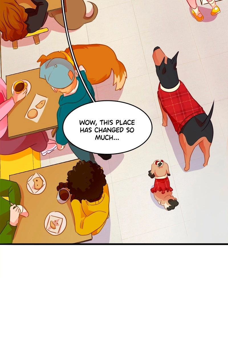 Love 4 a Walk Chapter 96 page 48 - 