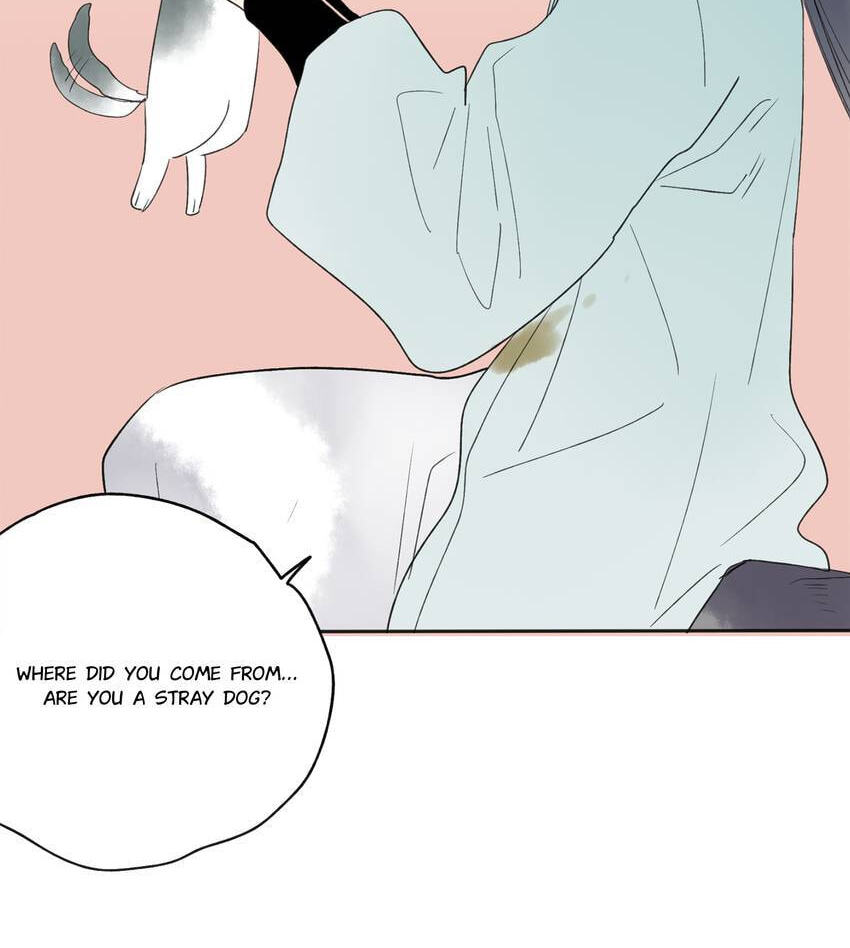 Love Blossoms in the Rain Chapter 23 page 57 - 