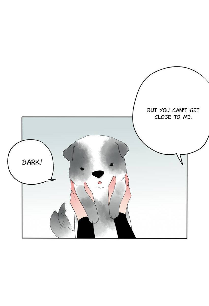 Love Blossoms in the Rain Chapter 23 page 67 - 