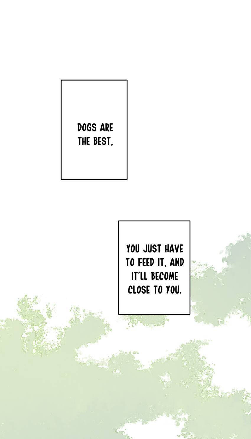 Love Blossoms in the Rain Chapter 36 page 3 - 