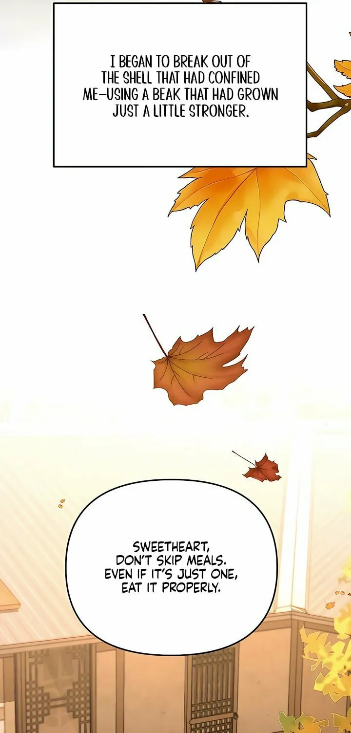 Love Caution Chapter 29 page 51 - 