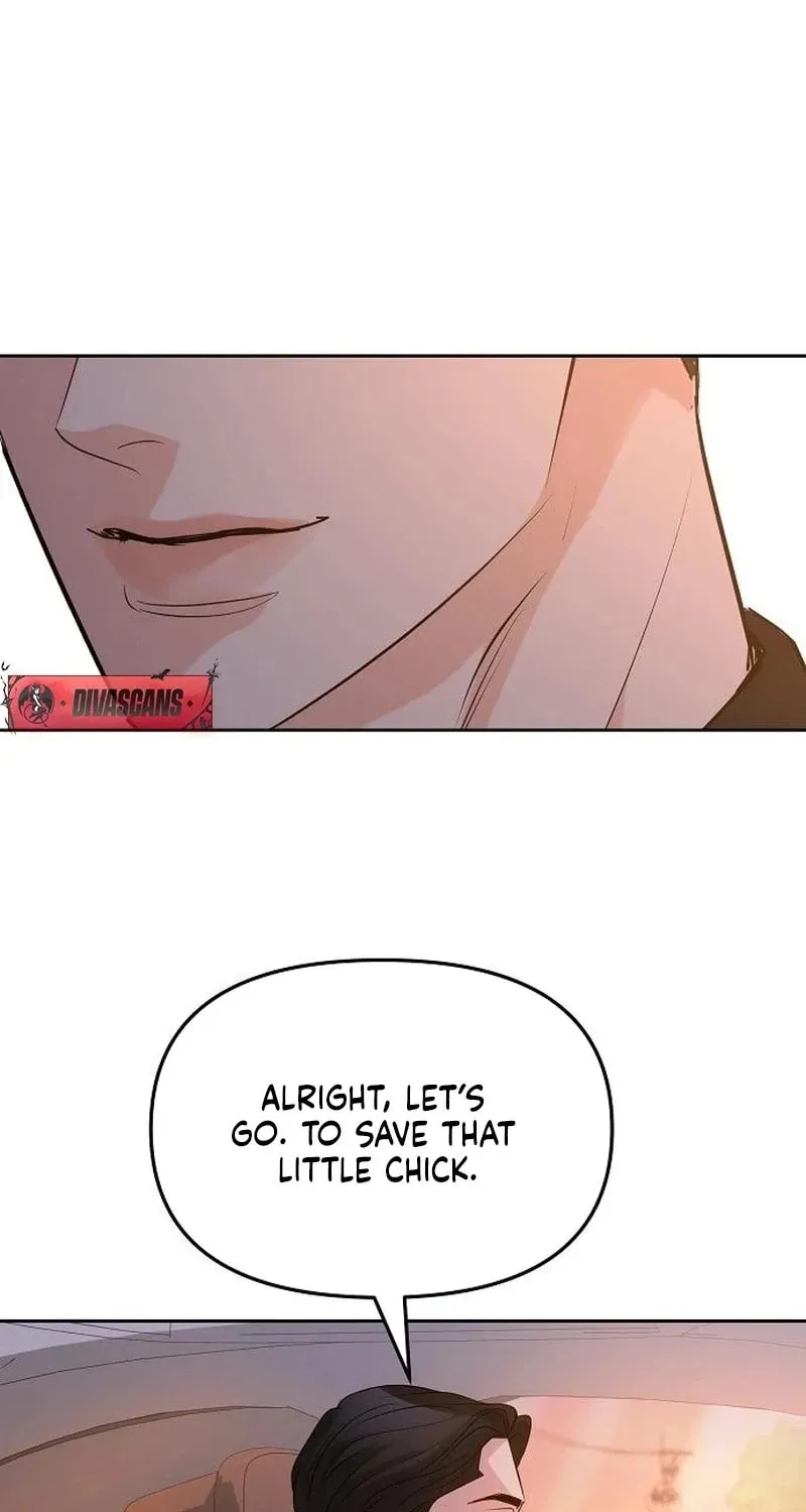 Love Caution Chapter 43 page 13 - 