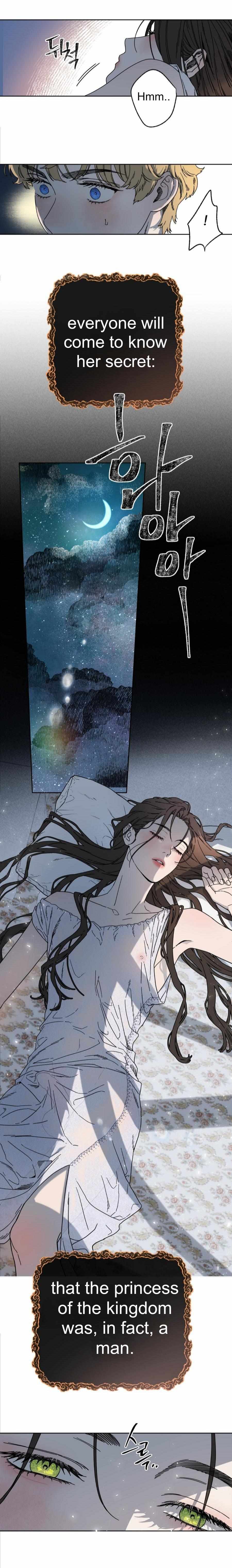 Love comes on a Moonlit Night Chapter 0 page 11 - 