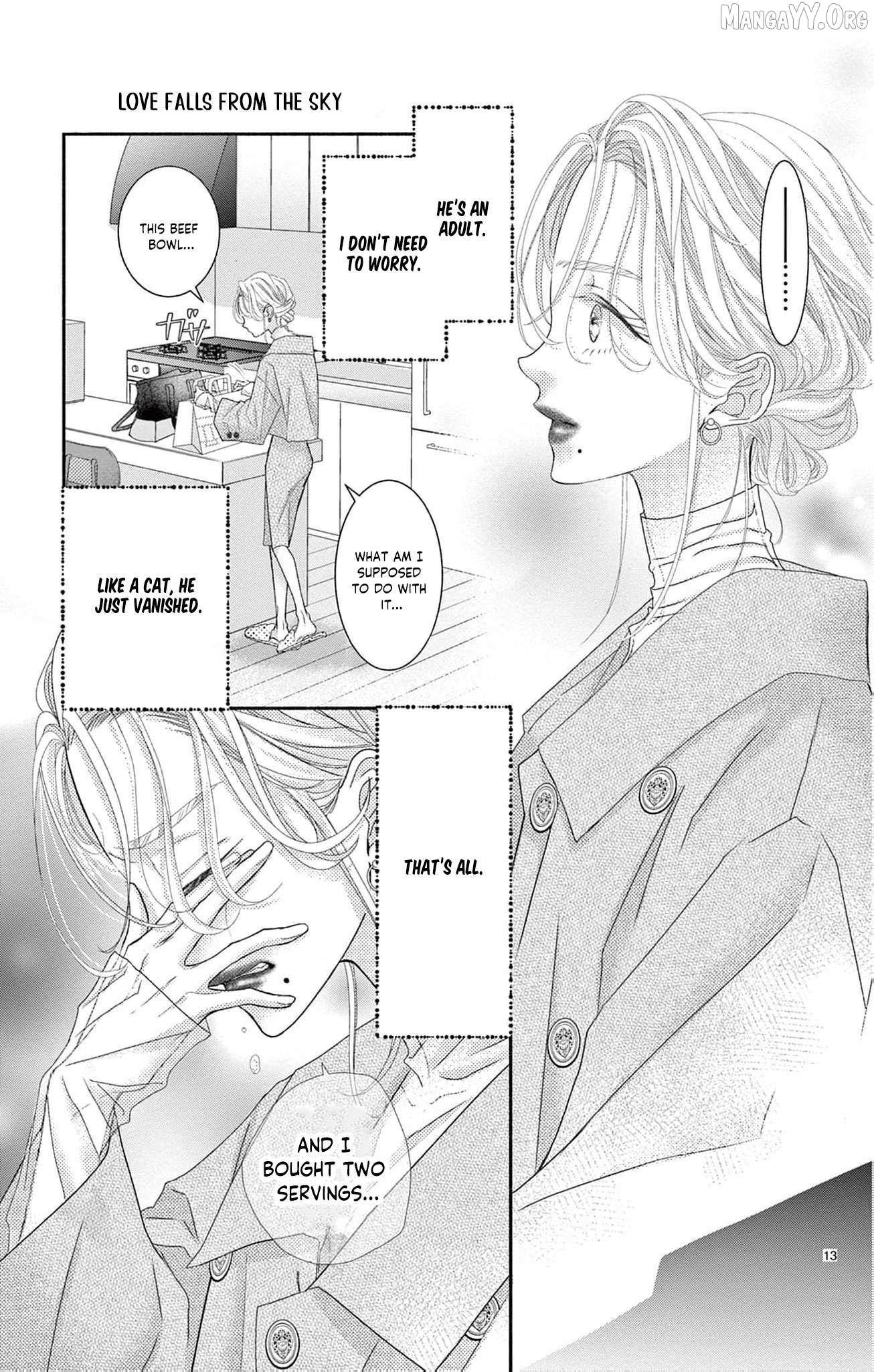 Love Falls from the Sky Chapter 9 page 17 - 