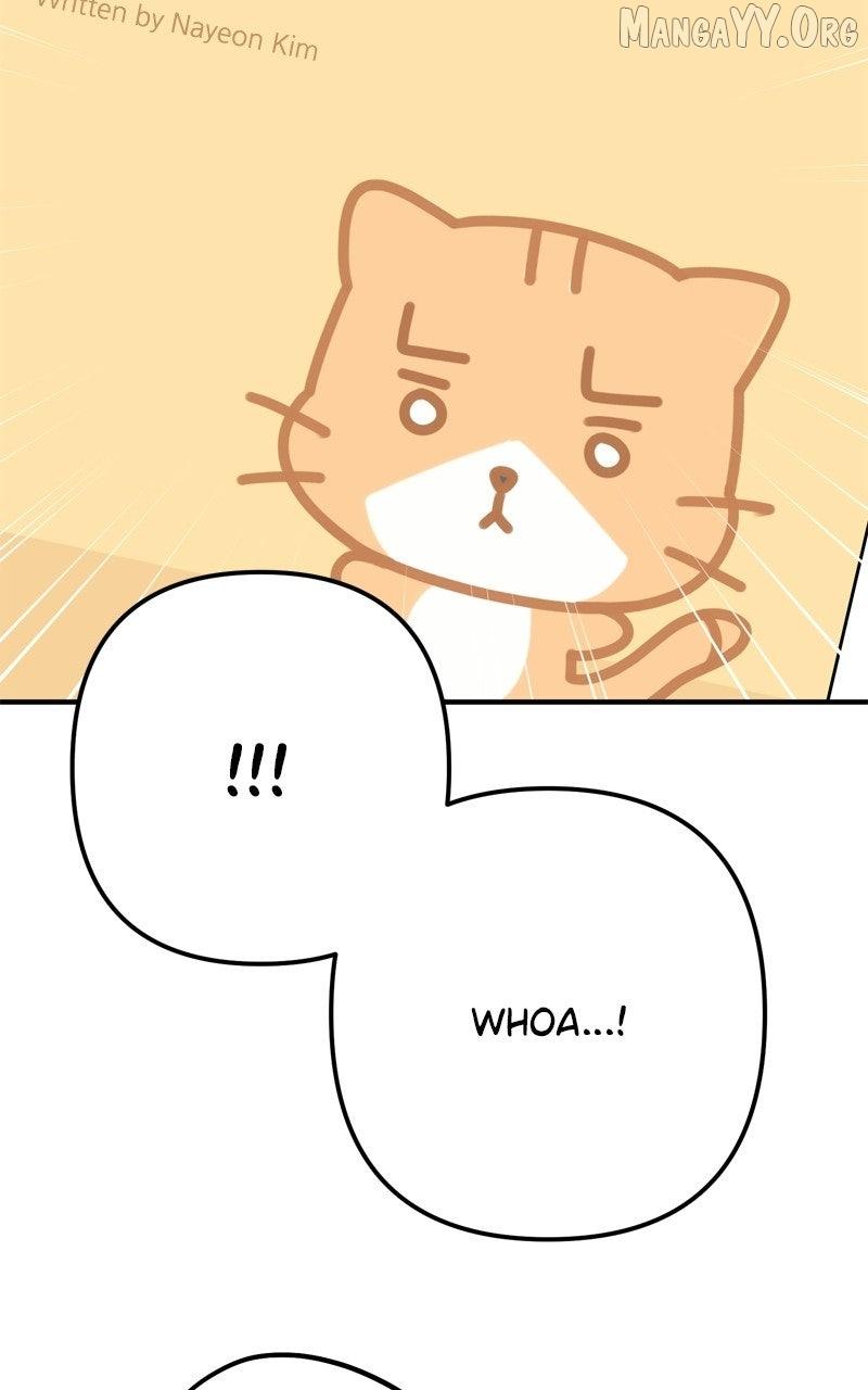Love in Session Chapter 62 page 77 - 