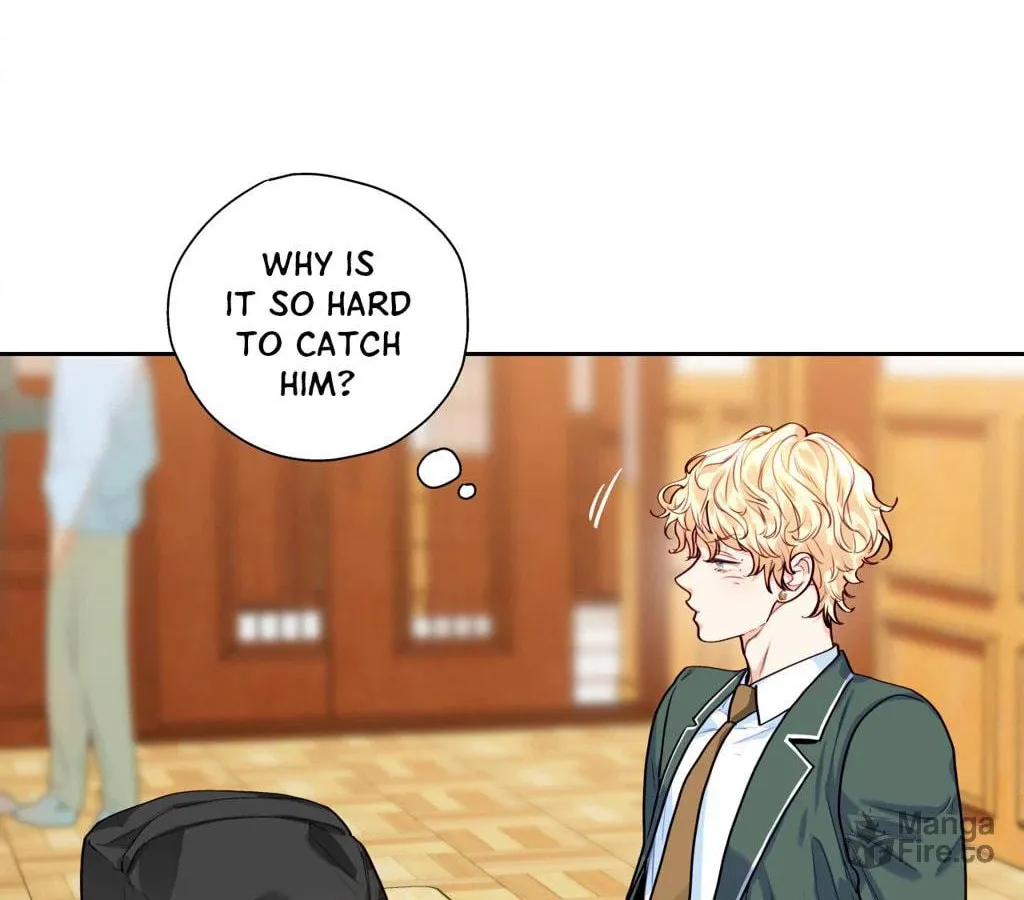 Love is an Illusion! - Superstar Chapter 11 page 42 - 