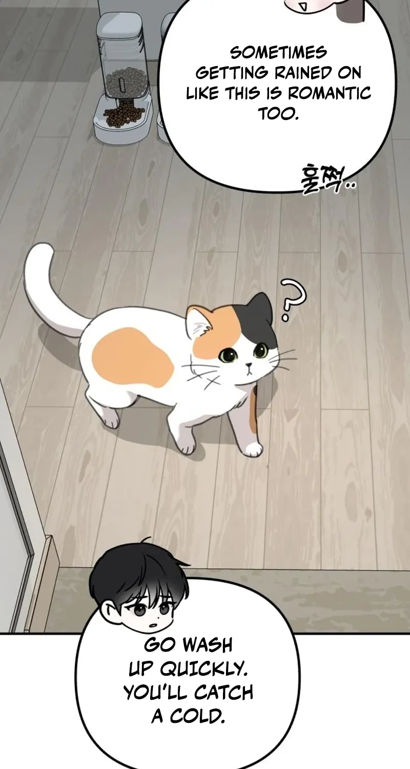 Love Is Sweet, Living Together Is Spicy Chapter 22 page 66 - 