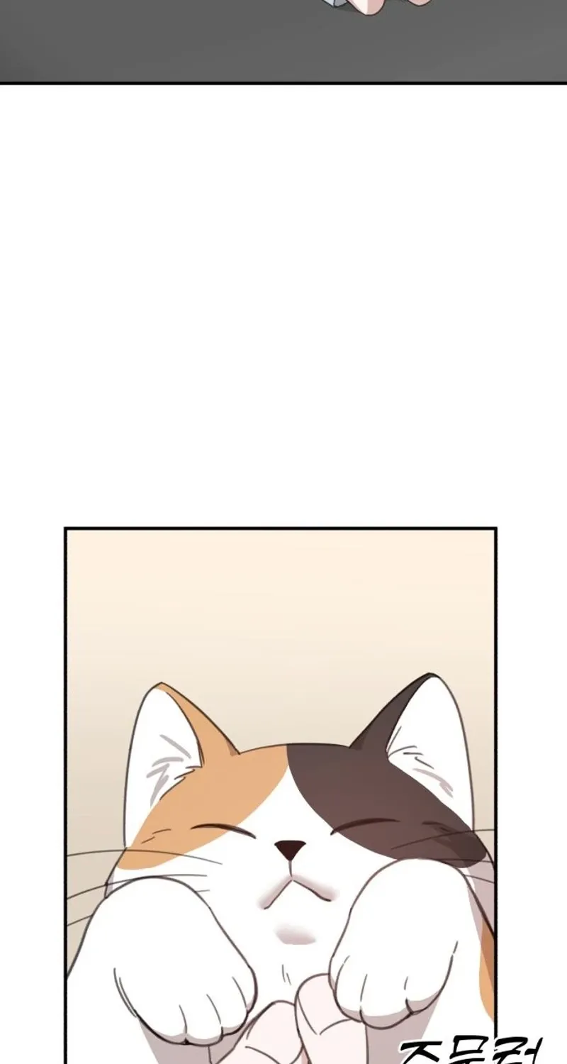 Love Is Sweet, Living Together Is Spicy Chapter 22 page 76 - 