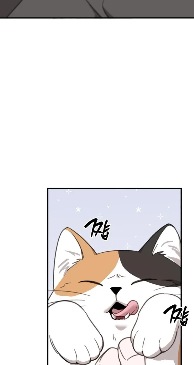 Love Is Sweet, Living Together Is Spicy Chapter 22 page 79 - 