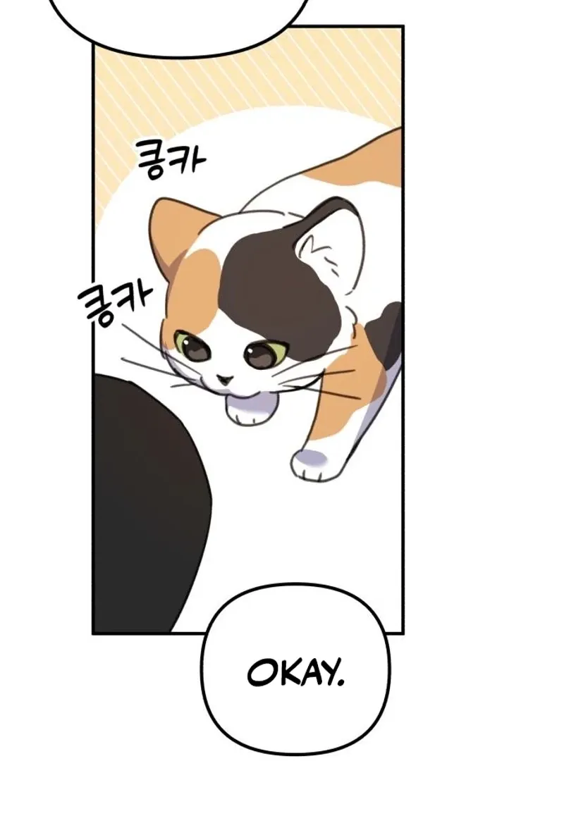Love Is Sweet, Living Together Is Spicy Chapter 3 page 105 - 