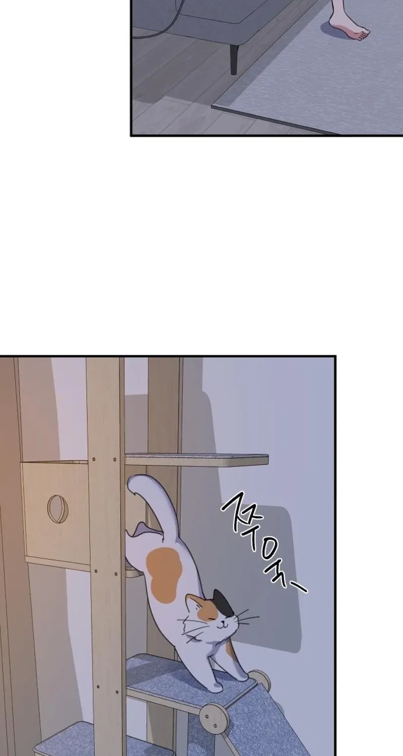 Love Is Sweet, Living Together Is Spicy Chapter 3 page 73 - 