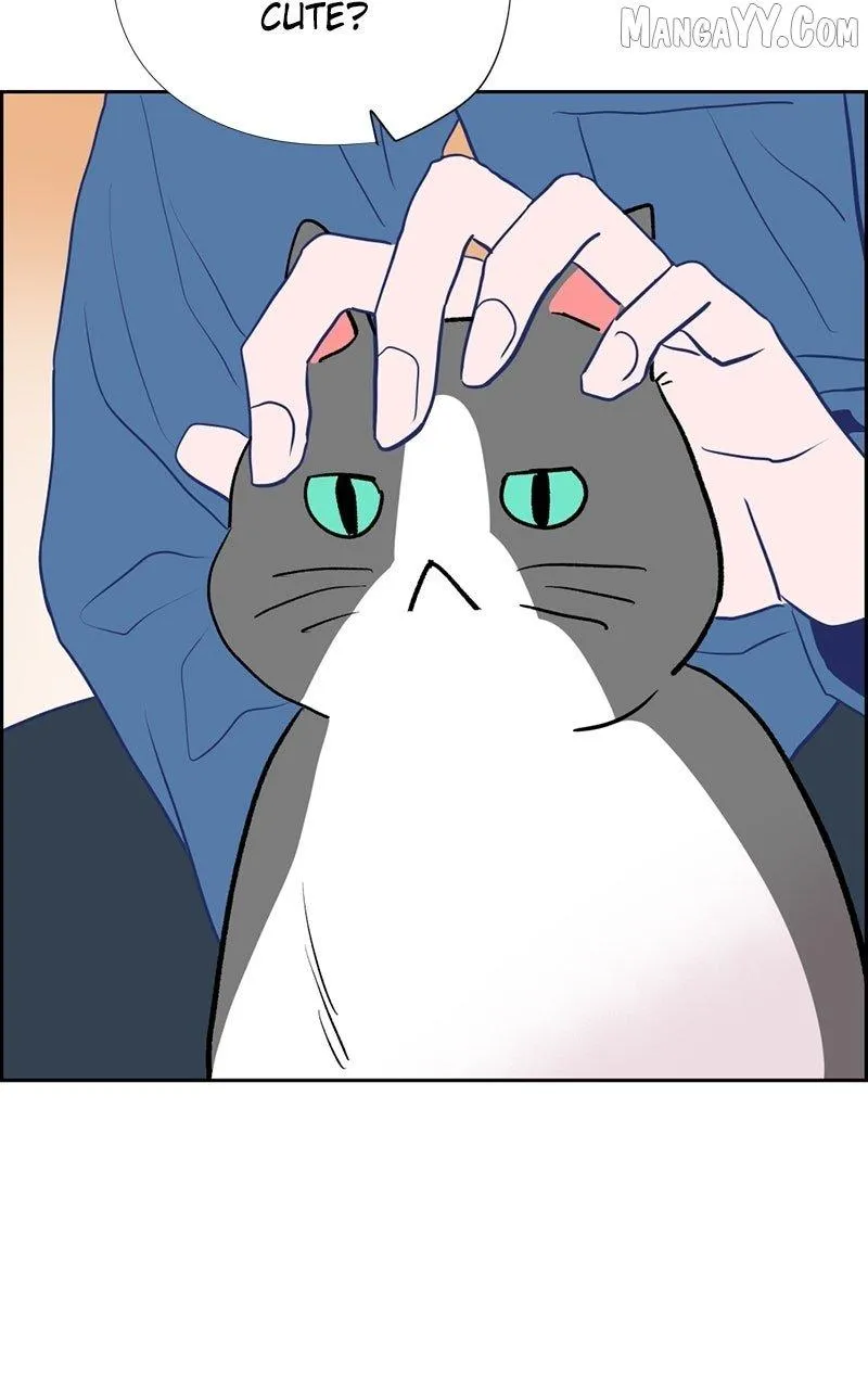 Love Letter Chapter 22 page 79 - 