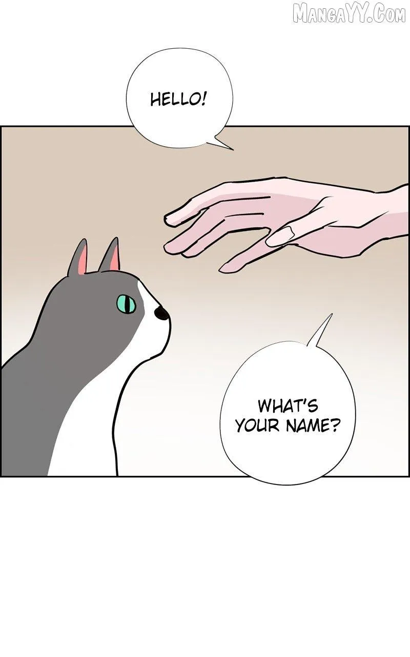 Love Letter Chapter 22 page 87 - 