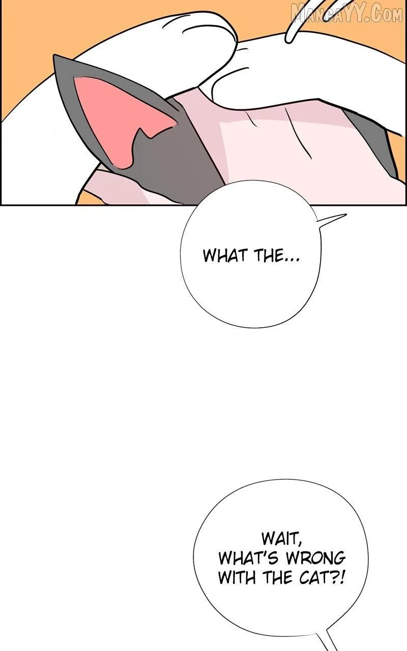 Love Letter Chapter 22 page 90 - 