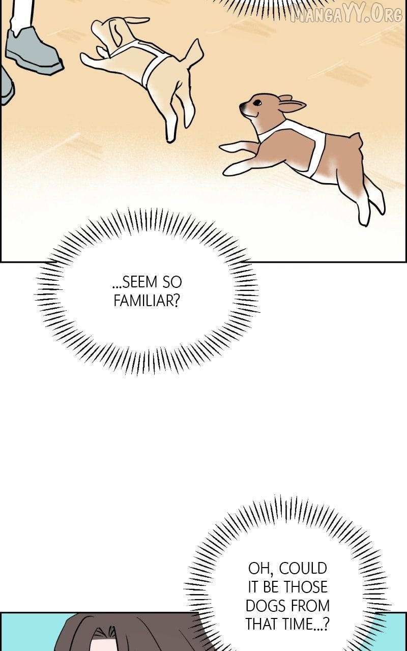 Love Letter Chapter 42 page 100 - 